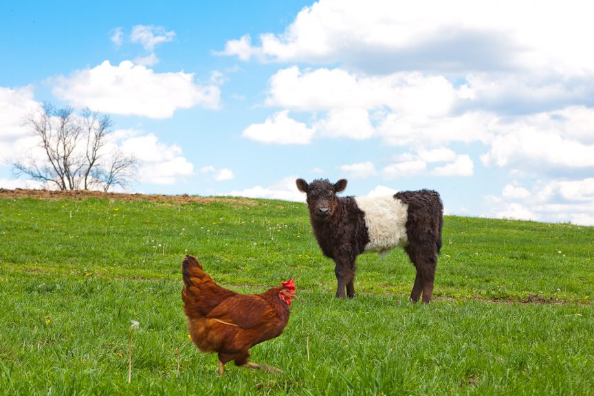 Virtual Introduction to Hopewell