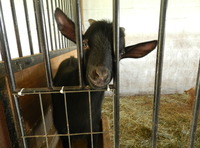 Our Team, Our Passions