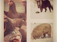 Hopewell Prepares for Winter Blast