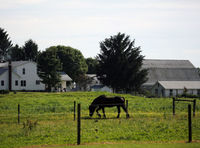 Hopewell Creates a Community, Offers Growth for Mentally Ill