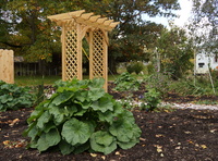 Hopewell Installs New Garden with Wooden Arbor