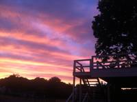 Resident Writing Feature – I Told You So!