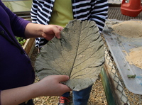 Concrete Leaves: Art Project Leaves a Lasting Impact on Mental Health