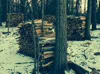 Busy Wintertime at Hopewell