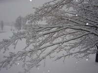 Cold Hands, Warm Hearts: Hopewell Survives the Recent Arctic Vortex