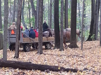 Fun fall days at Hopewell