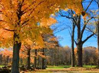 Nature’s Healing Power at Hopewell