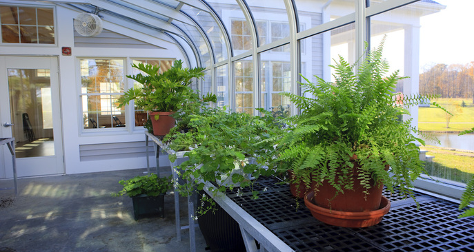 The David Cutler Conservatory