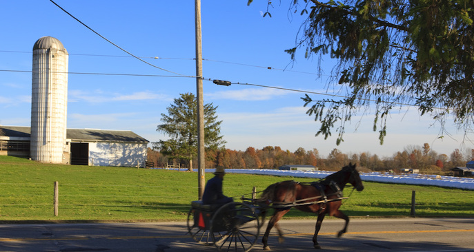 Mesopotamia Township