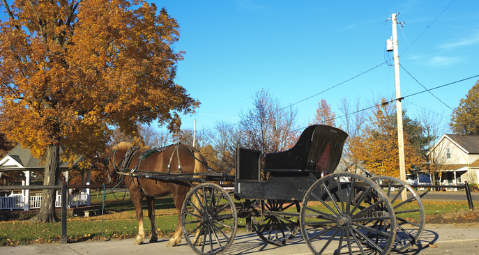 Mesopotamia Township