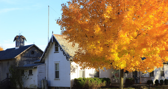 Mesopotamia Township