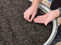 The Therapeutic Benefits of Working with Plants